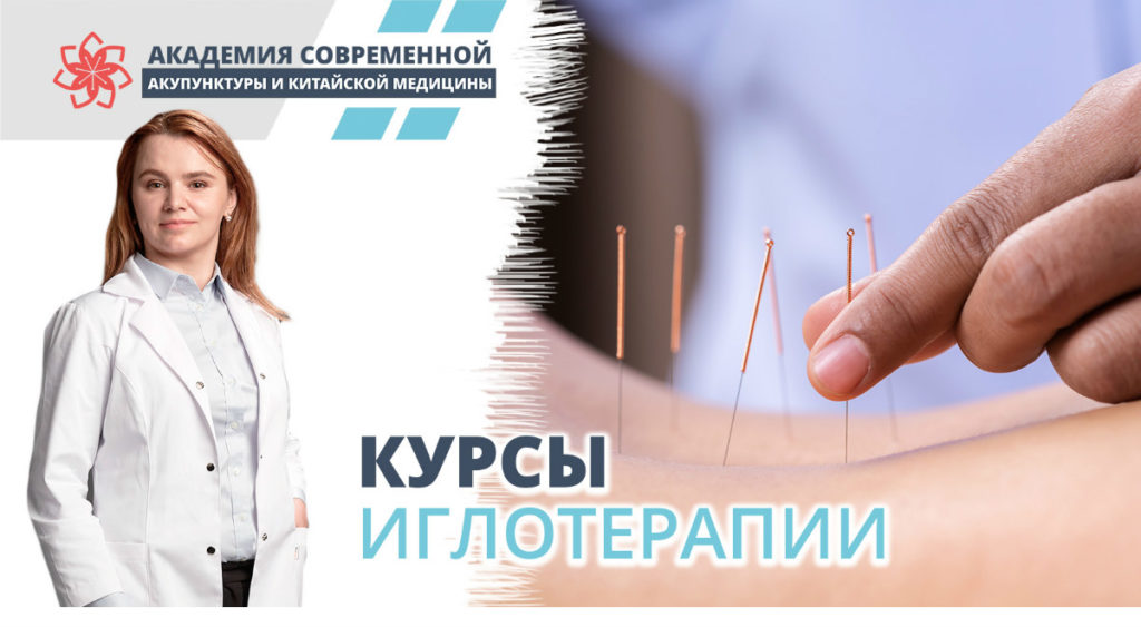 uzhe-20-noyabrya-startuet-ocherednoj-kurs-akupunktury